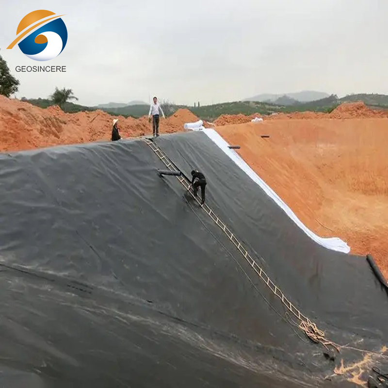 Custom Thickness Waterproof PVC Geomembrane Liner for Dam Manufacturer ...