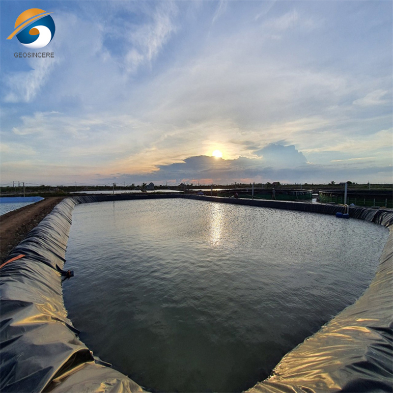 Fish Safe Preformed HDPE Plastic Pond Liner Manufacturer_supplier_price