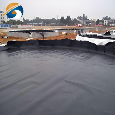 Custom Thickness Waterproof PVC Geomembrane Liner for Dam Manufacturer ...